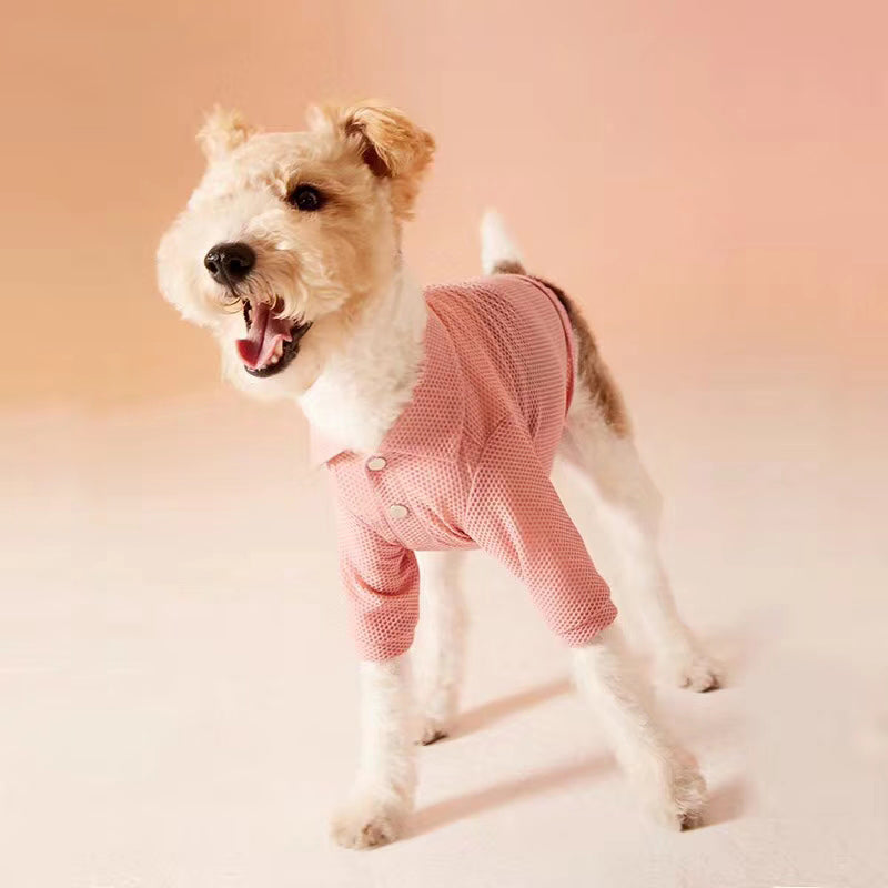 Avezano Khaki Gradient Backdrop For Portrait Photography-AVEZANO